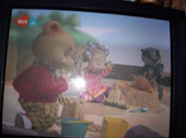 En van Bruintje Beer op tv